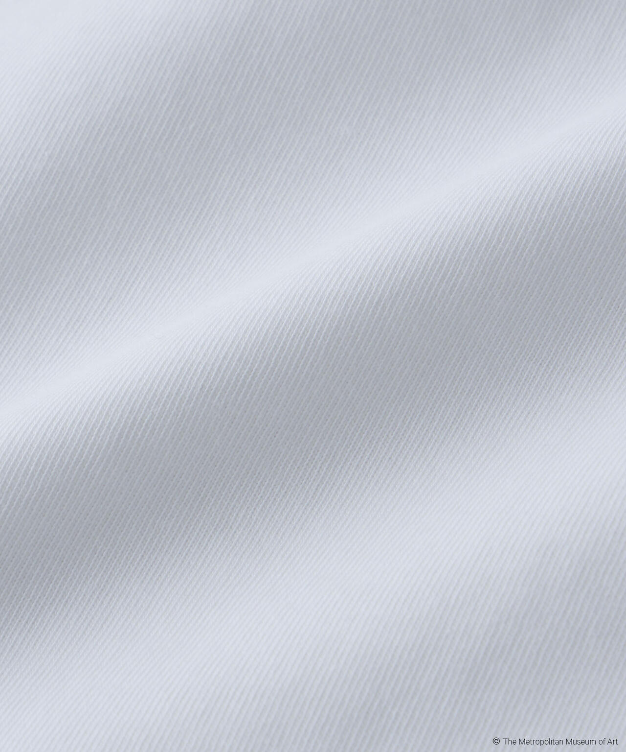 The Met 別注ロゴプリントTシャツ 6695224300