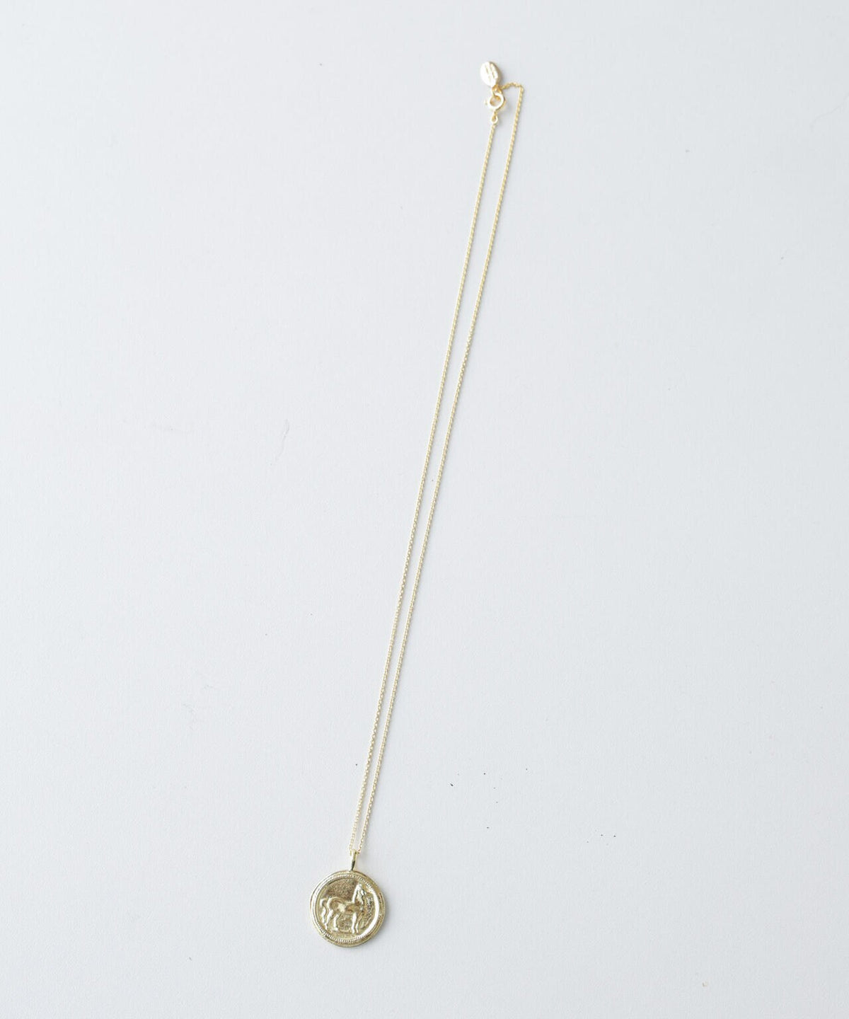 Chibi Jewels/Horse Coin Necklace 6715146048