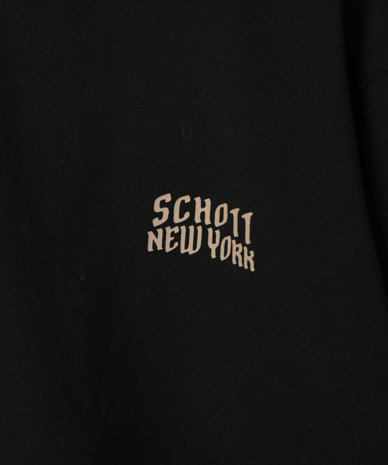 Schott/別注 "BULLDOG" S/S TEE 6705124012