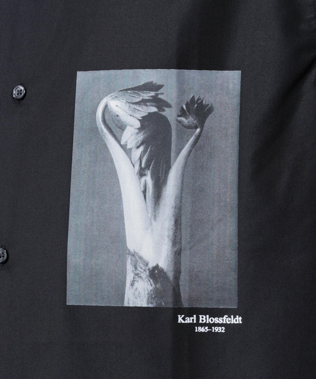 「着るアート」karl blossfeldt 半袖シャツ2 6685221211