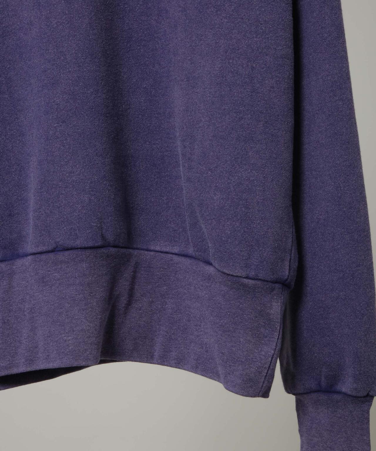 Healthknit/別注 Pigment Classic Sweat 6705223085