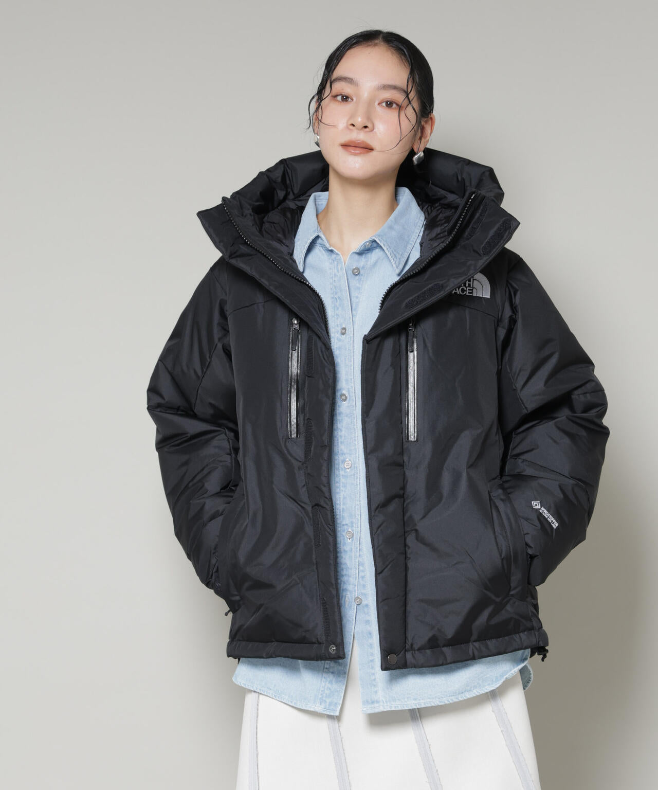THE NORTH FACE/Baltro Light Jacket