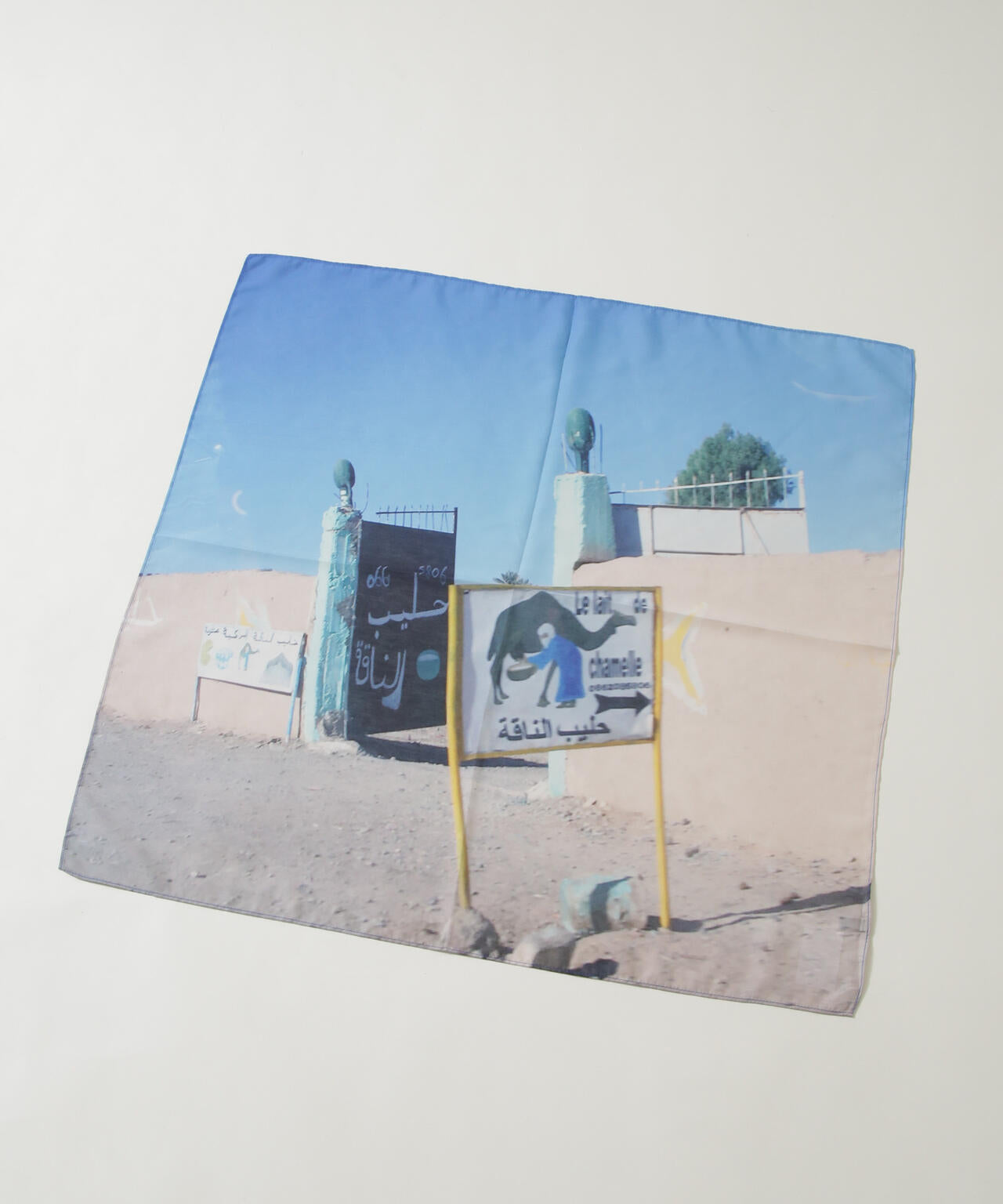 LY/Postcard scarf 6716253015