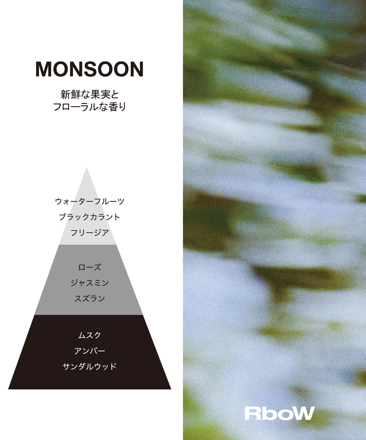 RboW/EAU de PERFUME MONSOON 6716253023