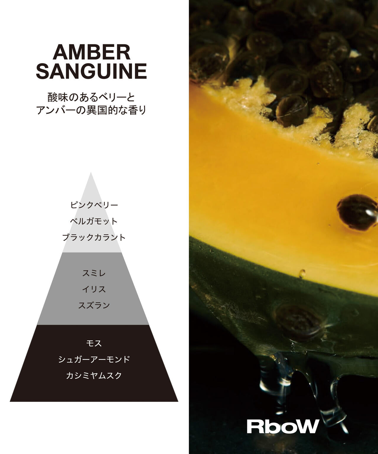 RboW/EAU de PERFUME AMBER SANGUINE 6716253024
