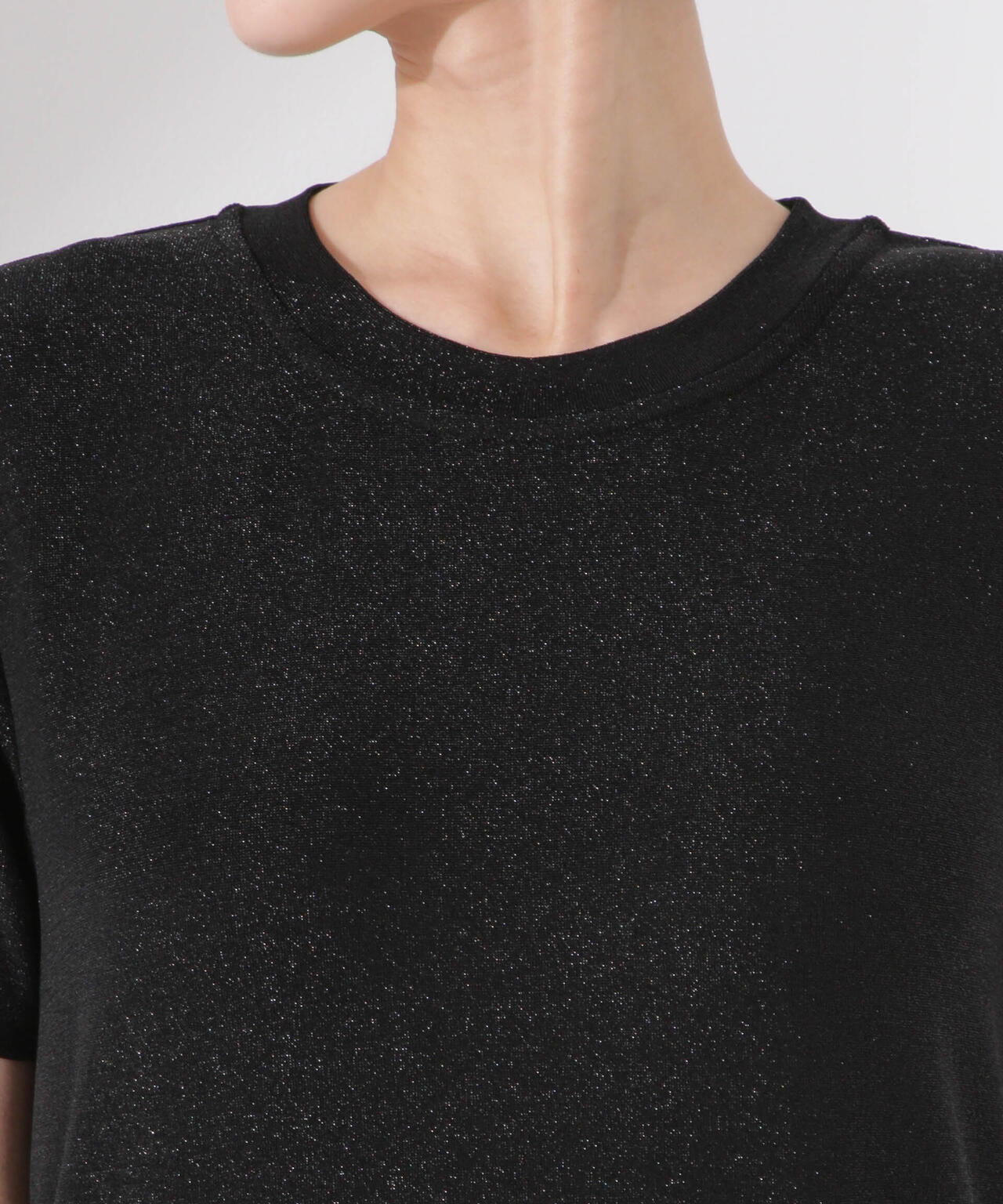 ラメカットクルーネックＴシャツ 6735124320
