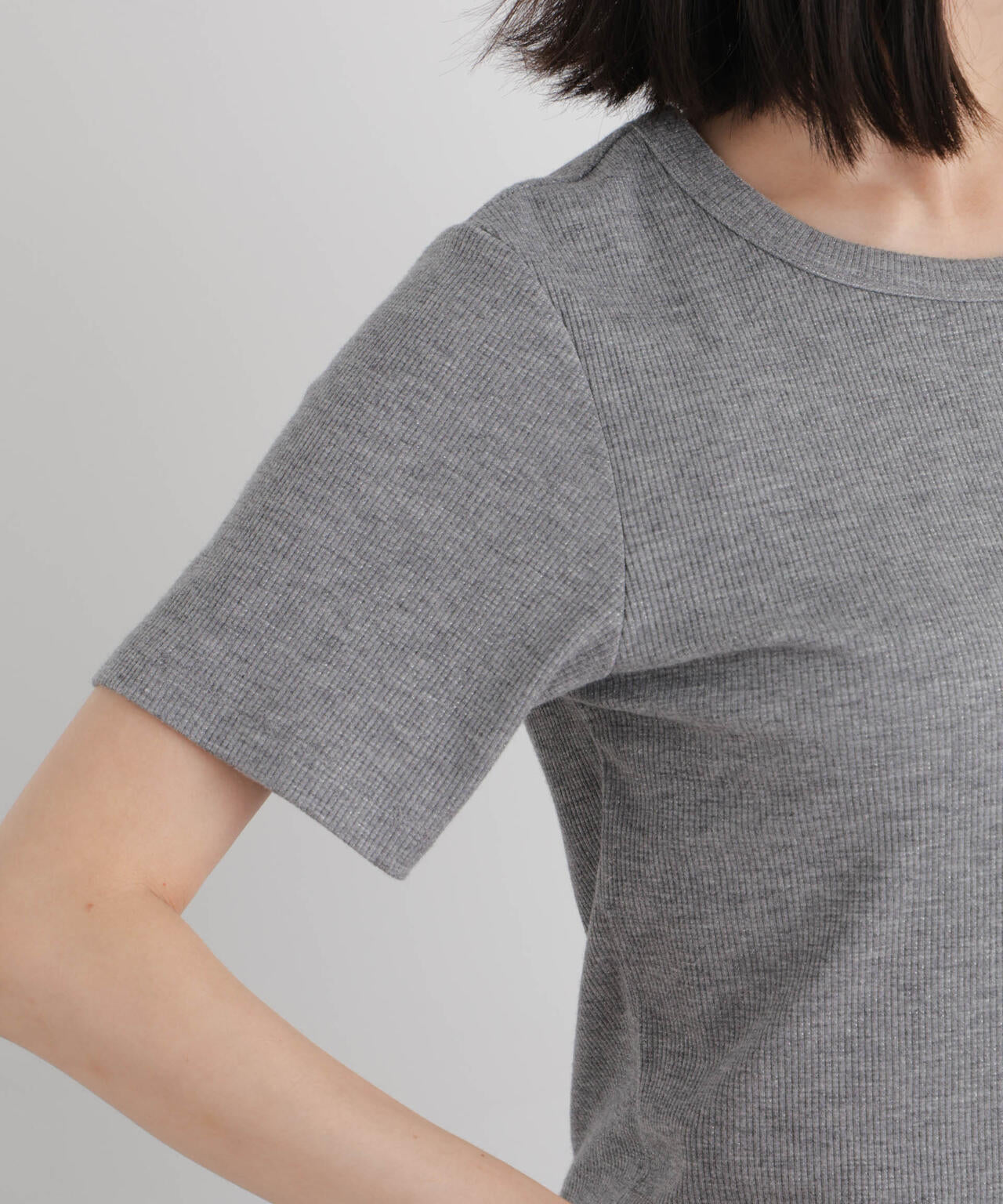 ラメリブカットクルーネックTシャツ 6736224308